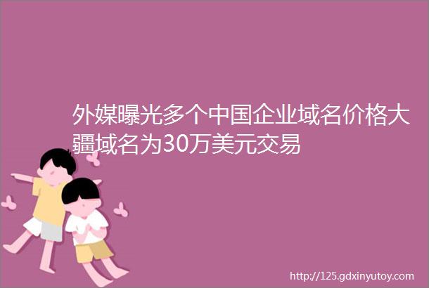 外媒曝光多个中国企业域名价格大疆域名为30万美元交易