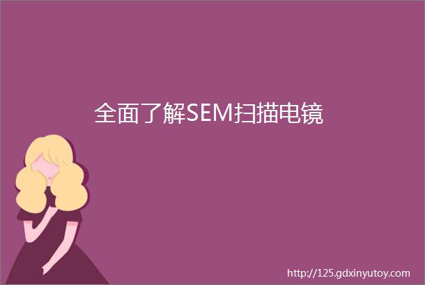 全面了解SEM扫描电镜