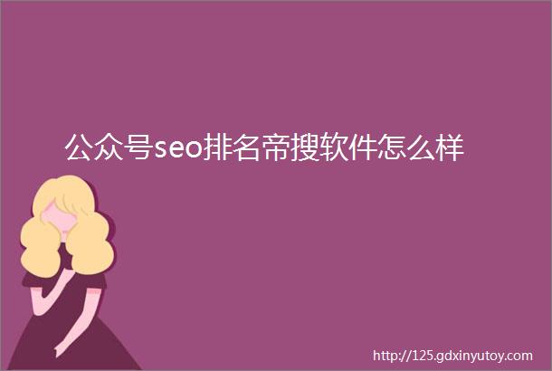 公众号seo排名帝搜软件怎么样