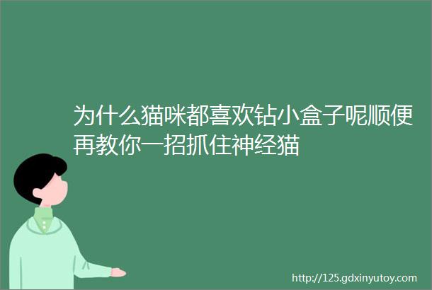 为什么猫咪都喜欢钻小盒子呢顺便再教你一招抓住神经猫