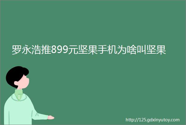 罗永浩推899元坚果手机为啥叫坚果