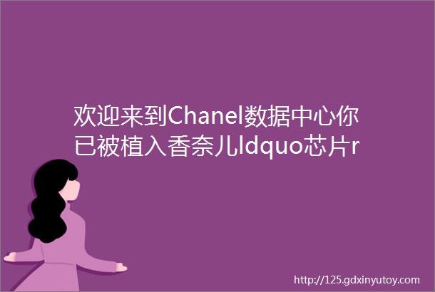 欢迎来到Chanel数据中心你已被植入香奈儿ldquo芯片rdquo正在更新