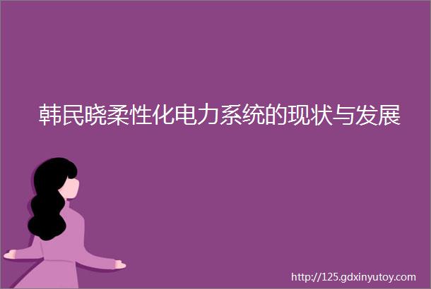 韩民晓柔性化电力系统的现状与发展