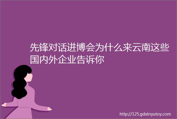 先锋对话进博会为什么来云南这些国内外企业告诉你