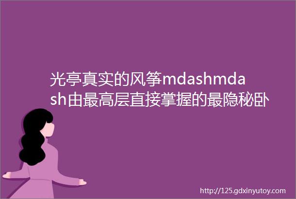 光亭真实的风筝mdashmdash由最高层直接掌握的最隐秘卧底