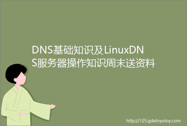 DNS基础知识及LinuxDNS服务器操作知识周末送资料