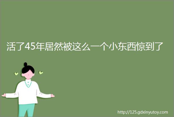 活了45年居然被这么一个小东西惊到了