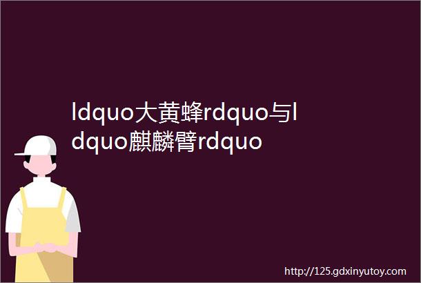 ldquo大黄蜂rdquo与ldquo麒麟臂rdquo