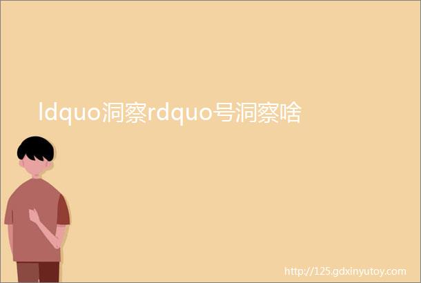 ldquo洞察rdquo号洞察啥