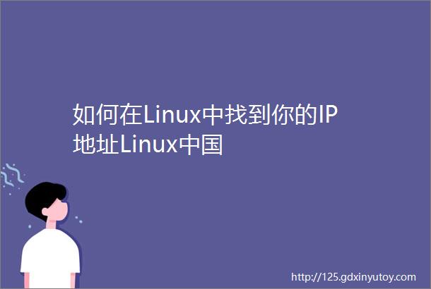 如何在Linux中找到你的IP地址Linux中国