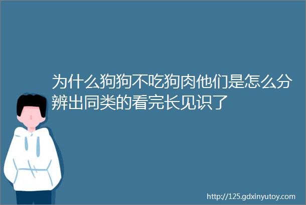 为什么狗狗不吃狗肉他们是怎么分辨出同类的看完长见识了