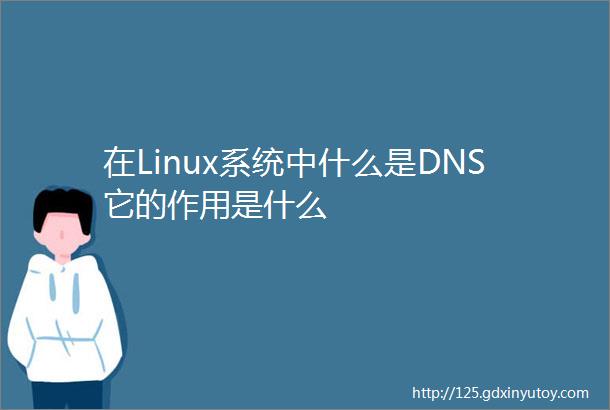 在Linux系统中什么是DNS它的作用是什么