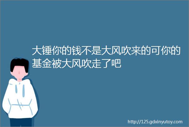 大锤你的钱不是大风吹来的可你的基金被大风吹走了吧