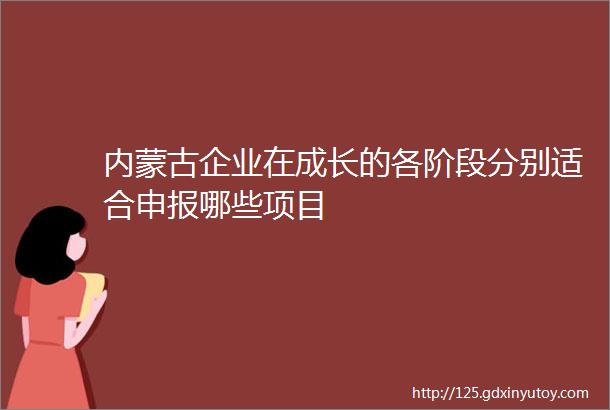 内蒙古企业在成长的各阶段分别适合申报哪些项目