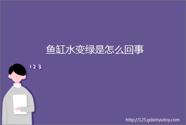 鱼缸水变绿是怎么回事