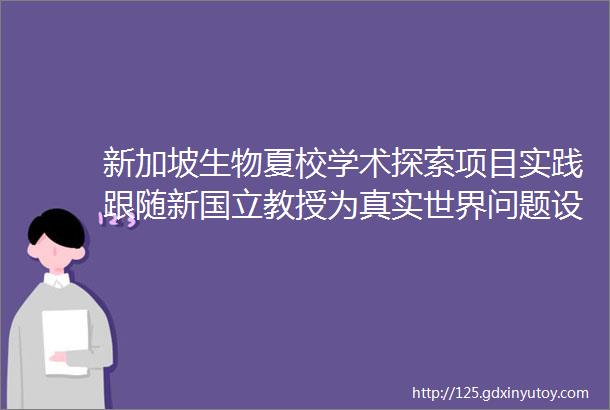 新加坡生物夏校学术探索项目实践跟随新国立教授为真实世界问题设计解决方案