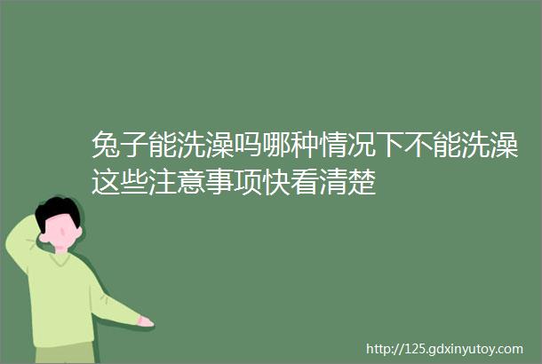 兔子能洗澡吗哪种情况下不能洗澡这些注意事项快看清楚