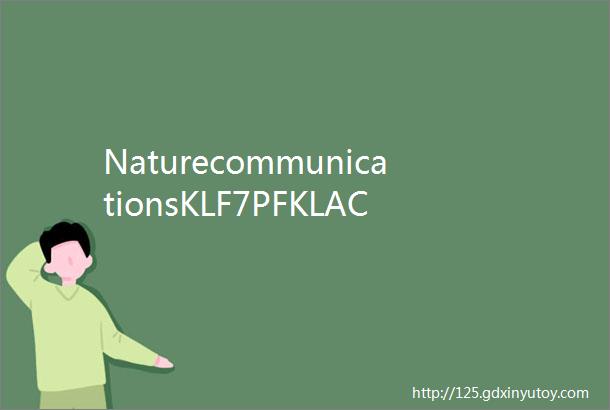 NaturecommunicationsKLF7PFKLACADL轴调节雄性小鼠心脏肥大期间的心脏代谢重塑