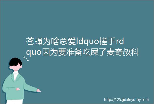 苍蝇为啥总爱ldquo搓手rdquo因为要准备吃屎了麦奇叔科学故事