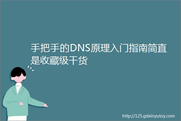 手把手的DNS原理入门指南简直是收藏级干货